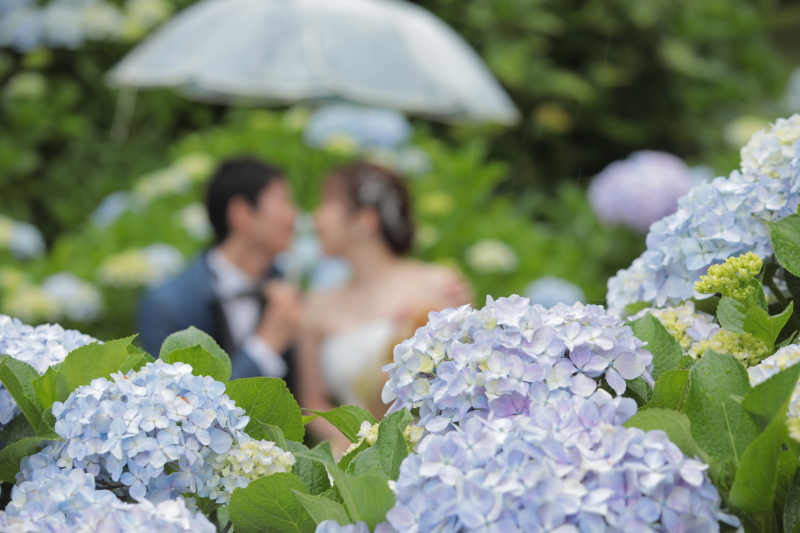 フォトジェニックなお写真