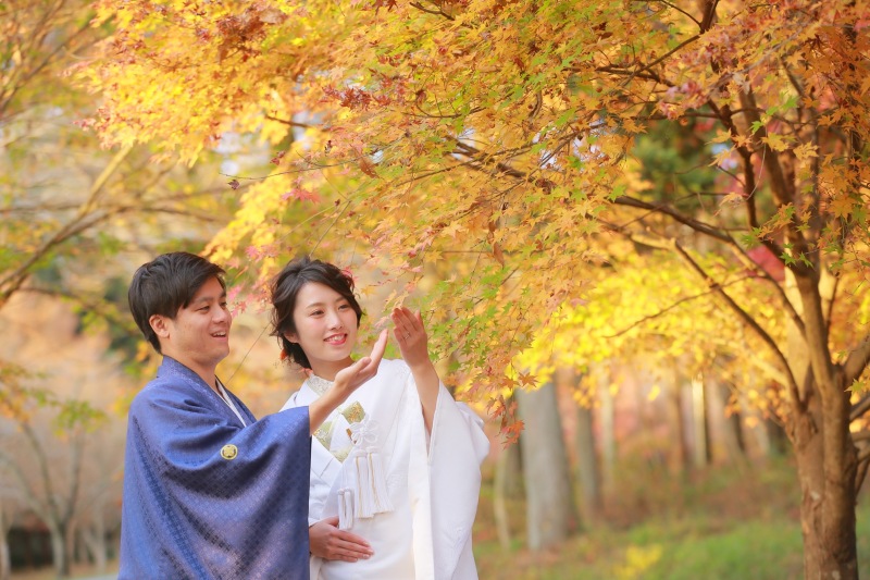 紅葉も色づき始めます。黄色の紅葉の下で