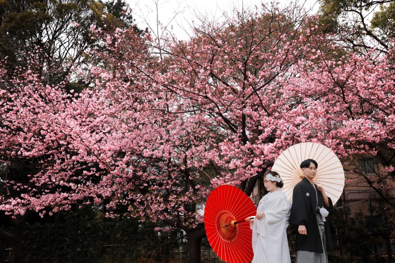 少し雰囲気をガラッと変えて