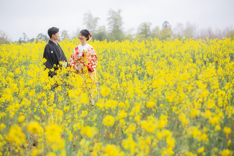 菜の花畑で撮影