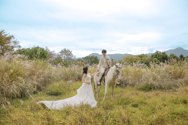 ススキの綺麗な高原風景の中で