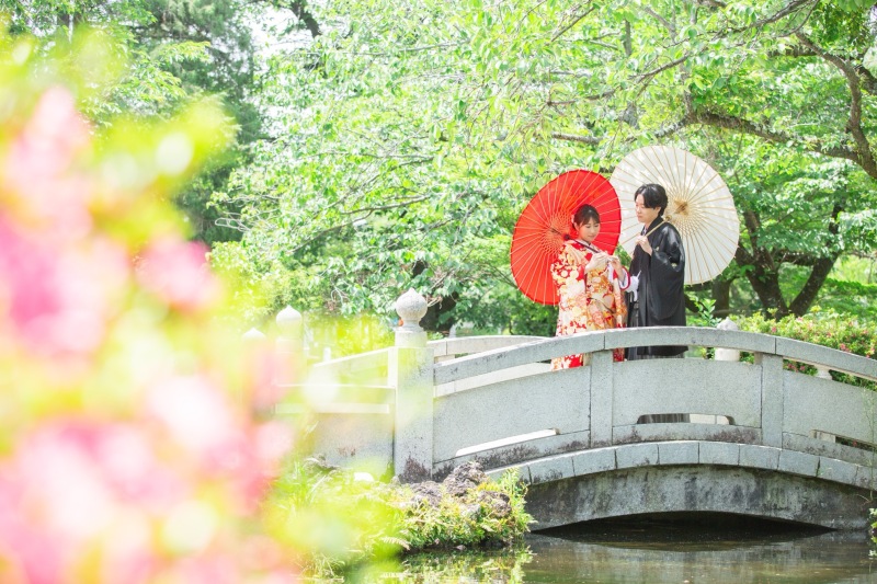 新緑とツツジのお花の中で