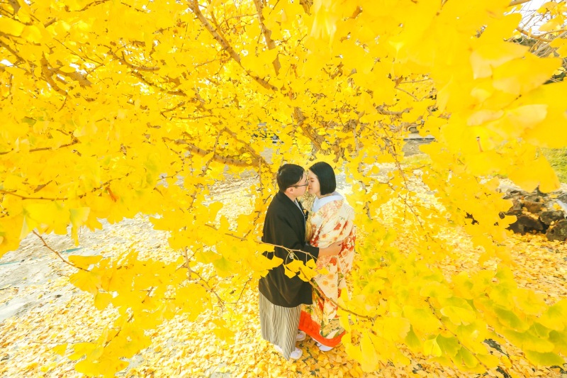 黄金色の銀杏に囲まれて