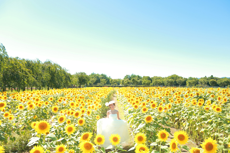 元気な新婦様とひまわり