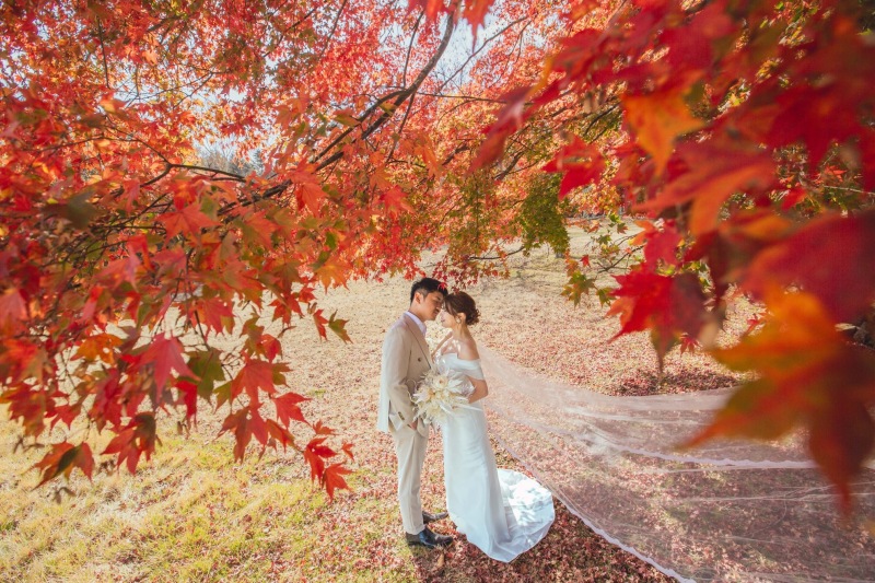 紅葉が降ってくるような構図で