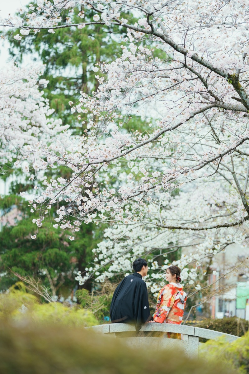 神社の桜シーズン