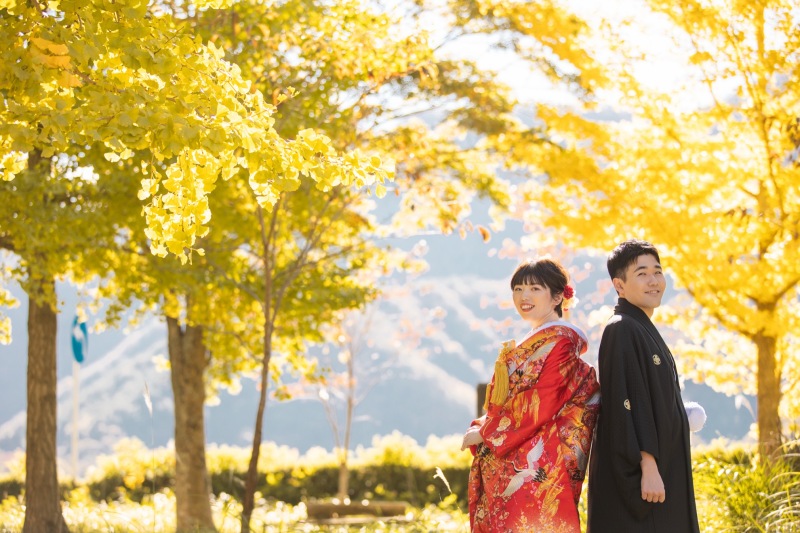 秋らしい銀杏で