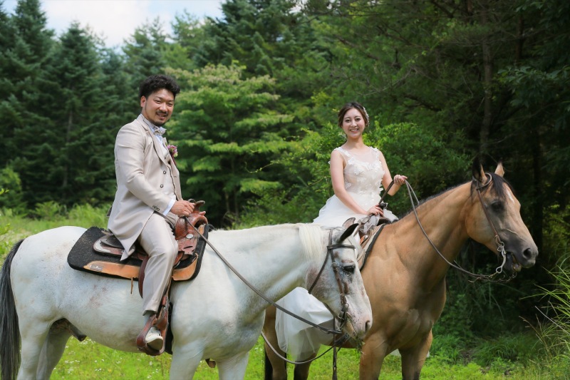 お馬さんも優しいおっとりした性格です