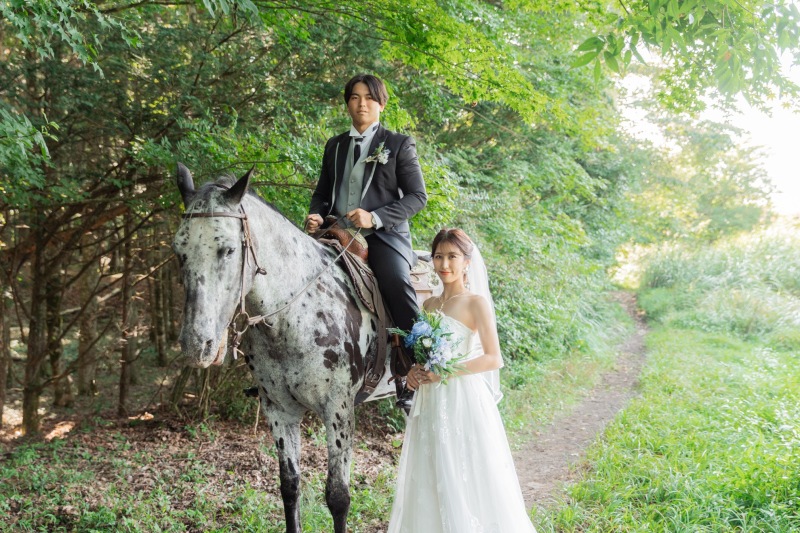 お馬さん一頭と