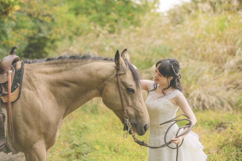 お馬さんとふれあいショット