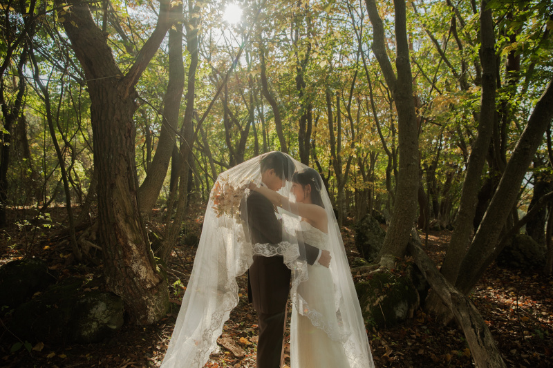 ベールを使用して