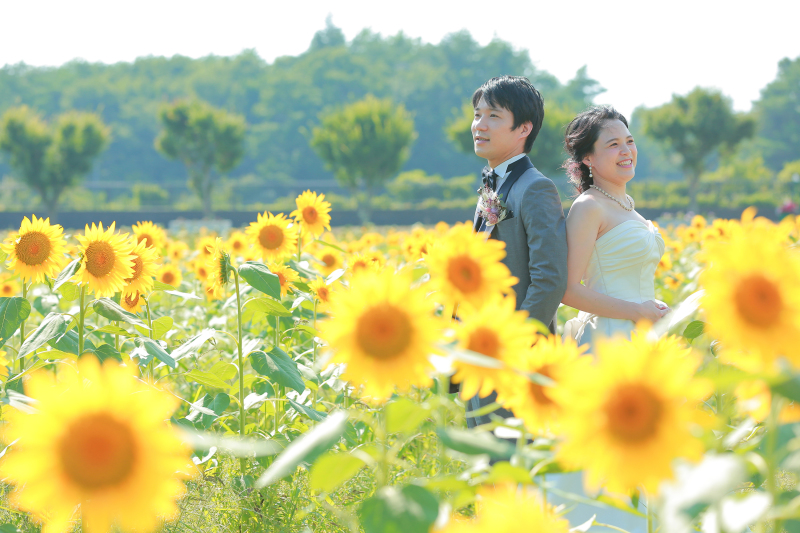 日中はお花畑で撮影