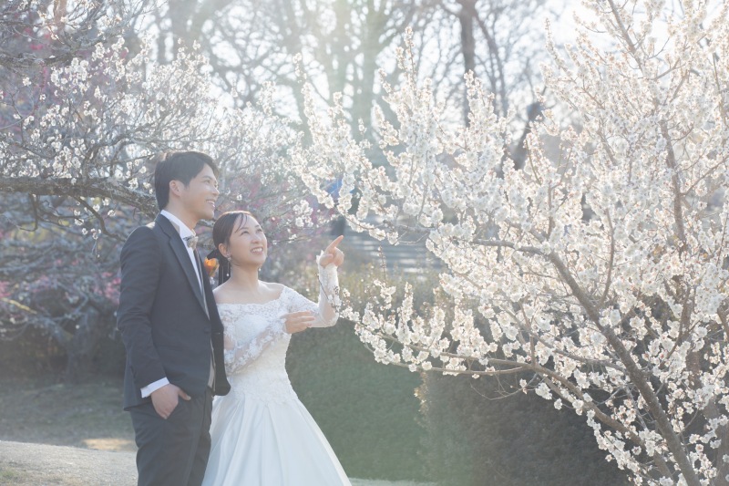 光が綺麗な中の梅の中での撮影