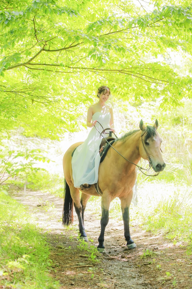 緑の森での撮影が5月〜9月頃