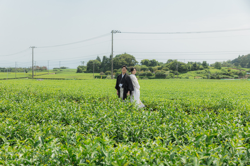 浅間大社白無垢＋色打掛2着撮影