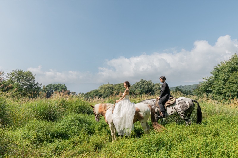 乗馬ロケーションフォト　秋のススキの草原も綺麗