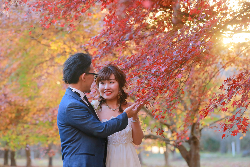 黄色や赤の紅葉の中での結婚写真