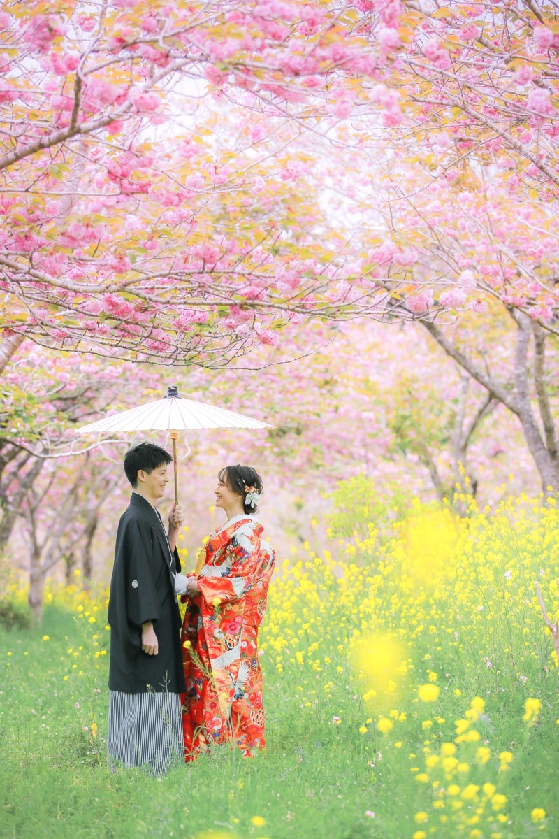 4月末に咲く知る人ぞ知るかくれスポットで