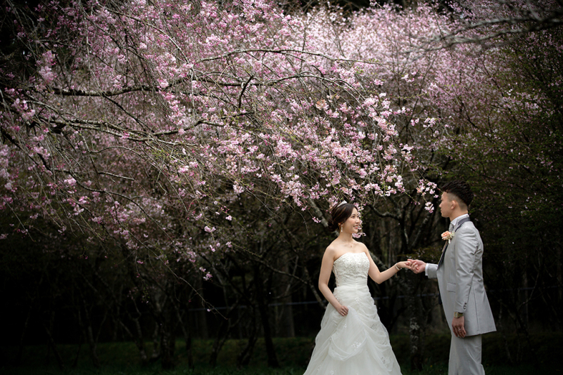 少しモダンな雰囲気での一枚