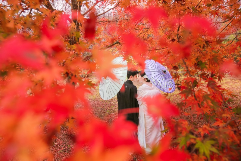 白無垢＋紅葉