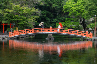 和装と緑の神社で神秘的な雰囲気で