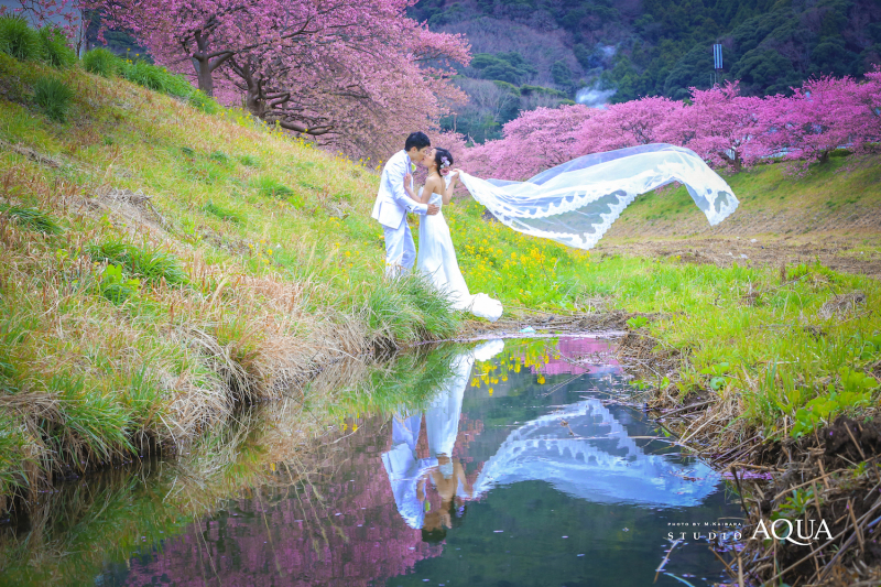 なびくヴェール