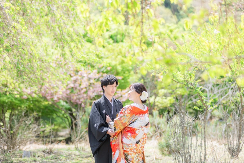 新緑たくさん