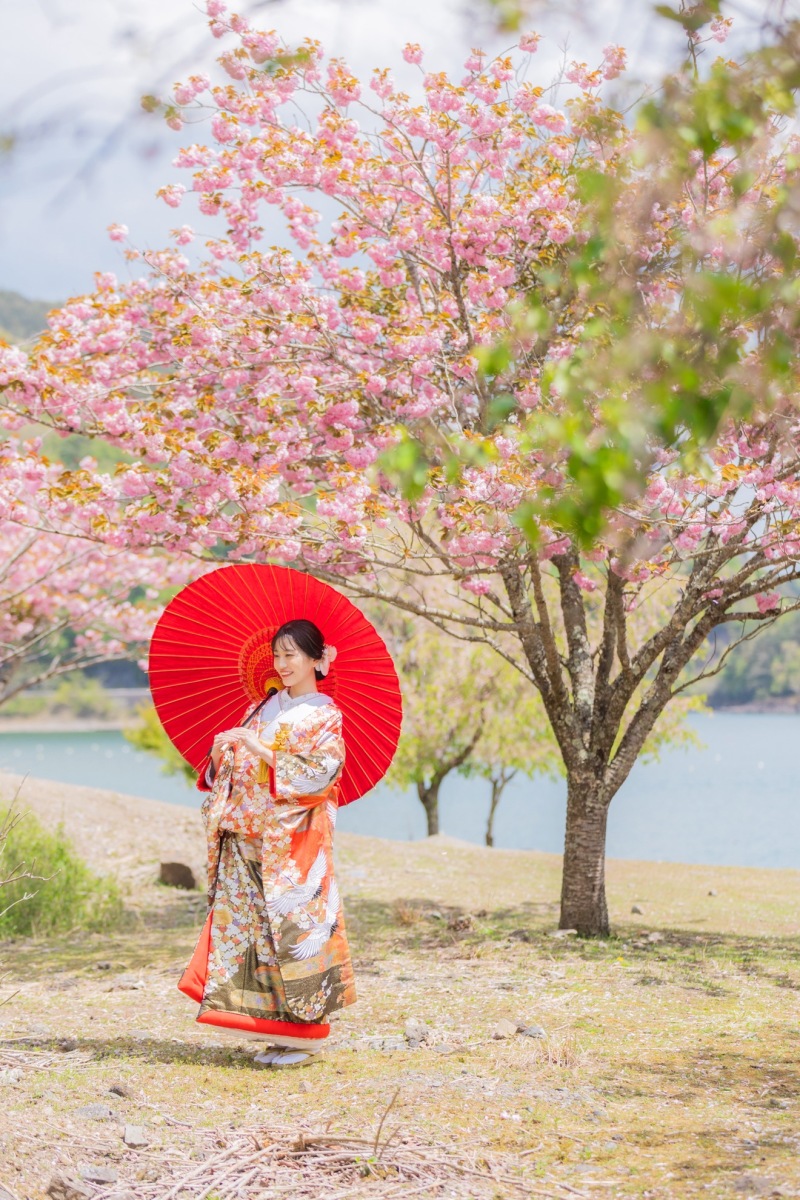 湖畔は遅咲きの桜が咲いていました