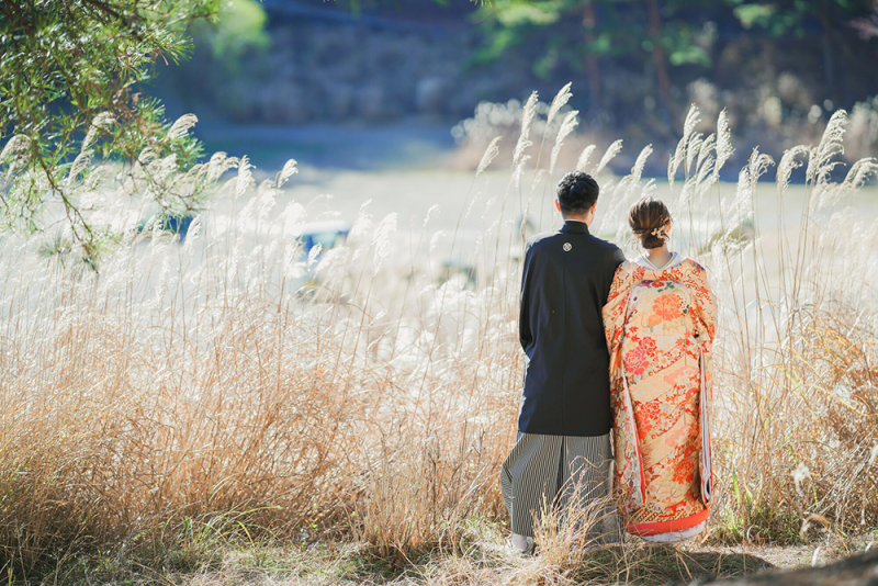 ススキは12月頃まで