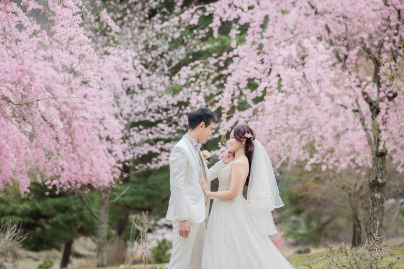 枝垂れ桜