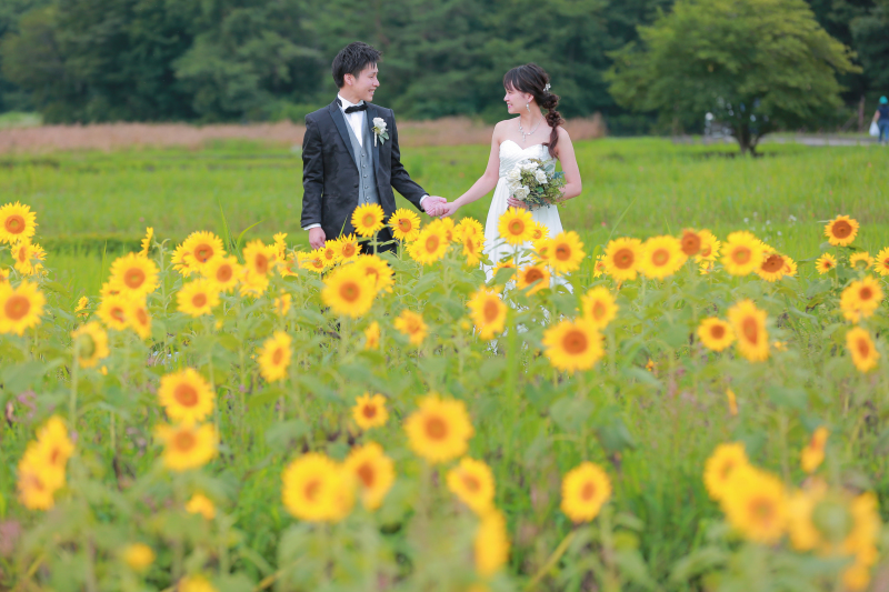 サプライズひまわり