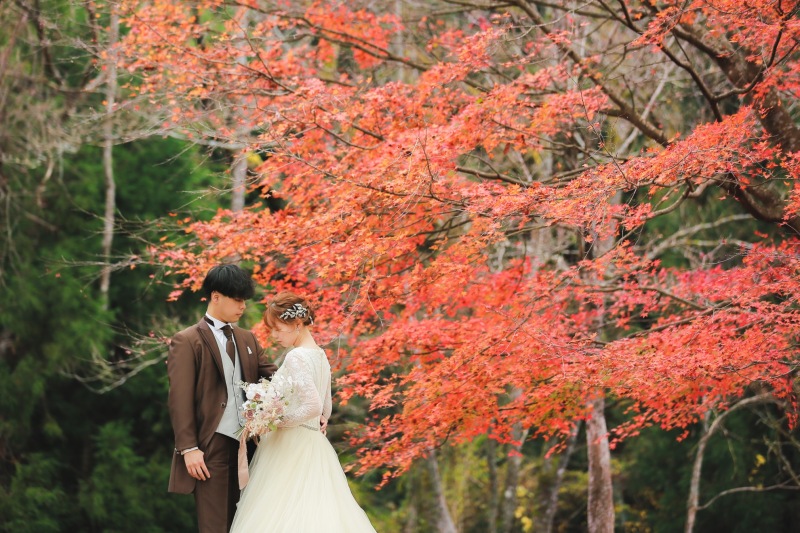 紅葉の残る森での撮影