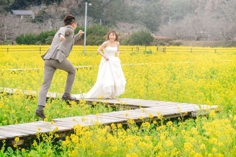 一面の菜の花ロードで