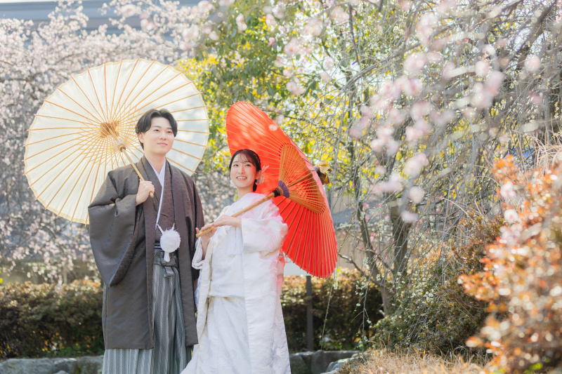 梅や早咲きの桜も開花してきました