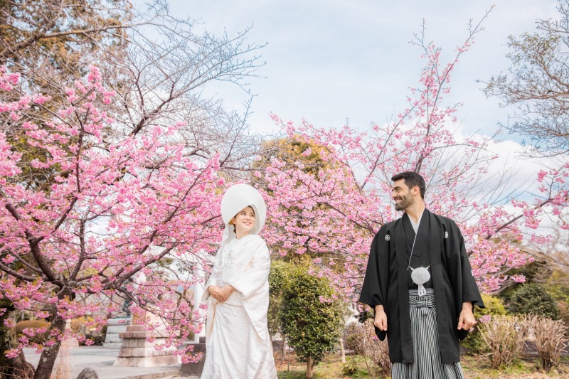 寒桜の咲く富士宮浅間大社で