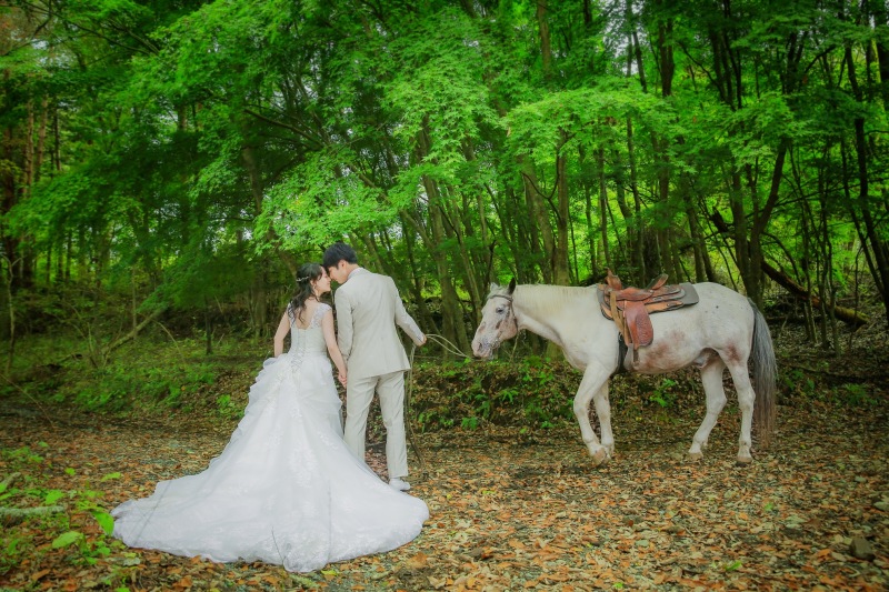 乗馬した森は緑も美しく綺麗でした　