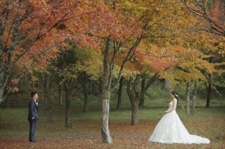 ウェディングドレスでの紅葉ロケーションフォト