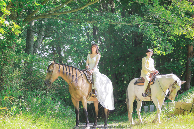 お馬さんもとてもリラックス