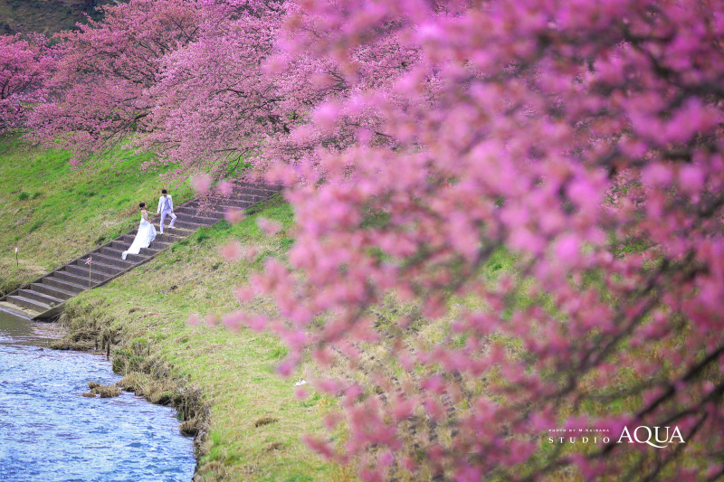 一生の思い出に*