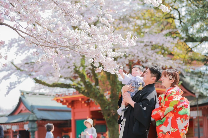 桜をタッチ！！
