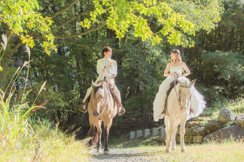 森のロケーションフォト