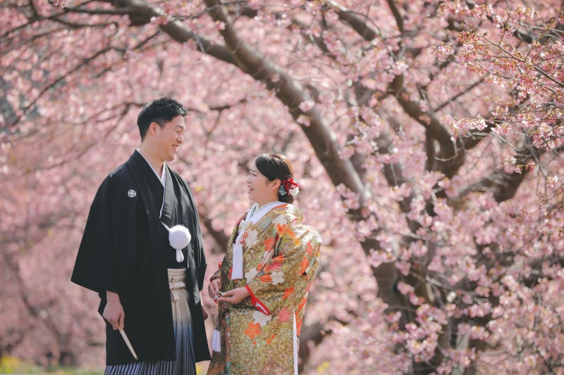 一面の桜並木での撮影は気持ちも明るくなります