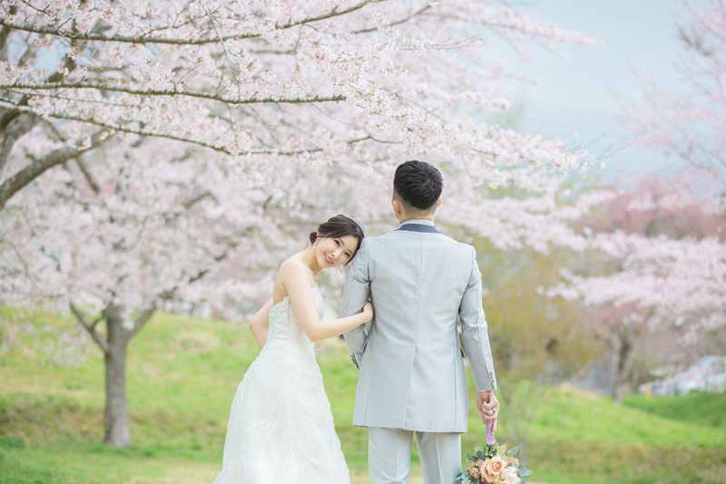 桜満開の公園で