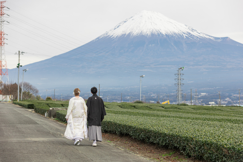静岡らしい富士山とお茶畑で