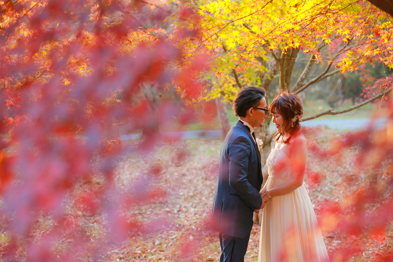 とっても可愛い一枚