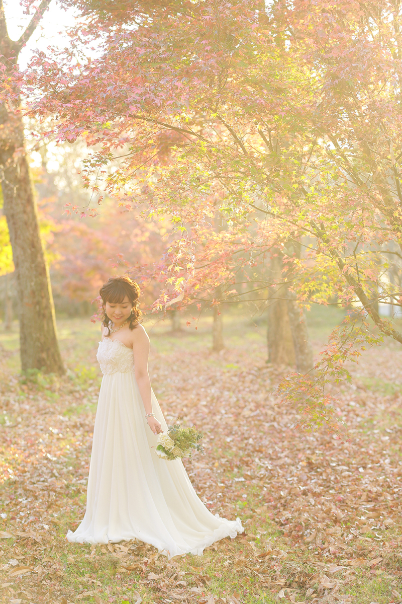 木漏れ日で美しい一枚