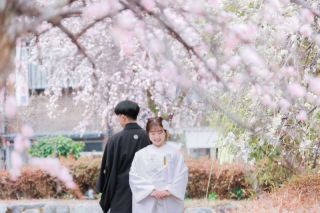 富士周遊も春満開です！