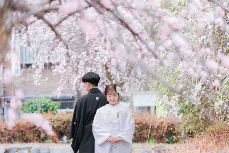 富士周遊も春満開です！