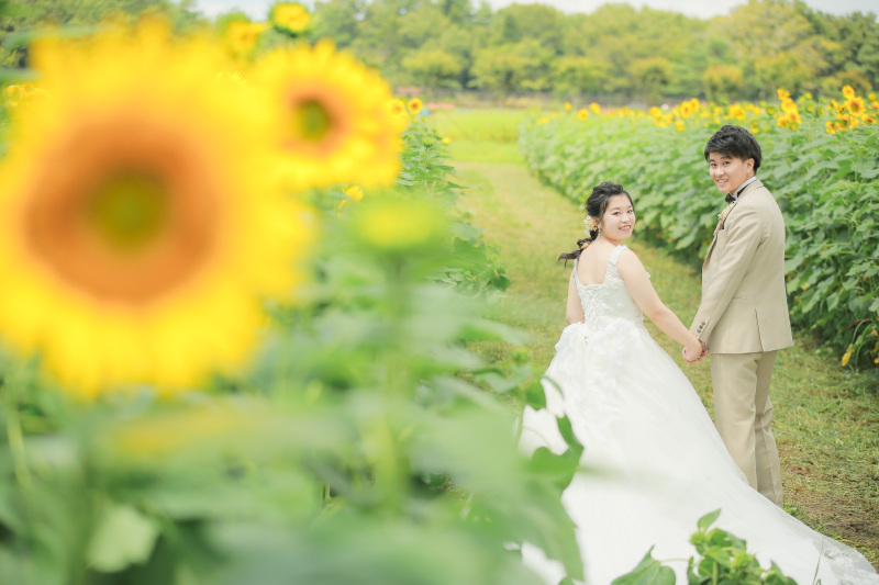 ひまわりの綺麗なお花畑