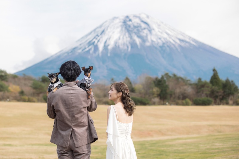 わんちゃんのカメラ目線いただきました